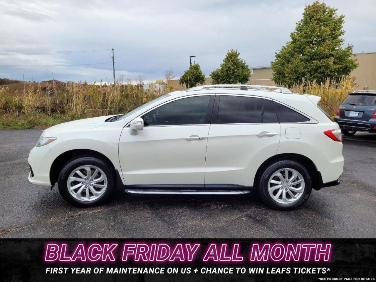 2016 Acura RDX AWD 4dr Tech Pkg Photo4