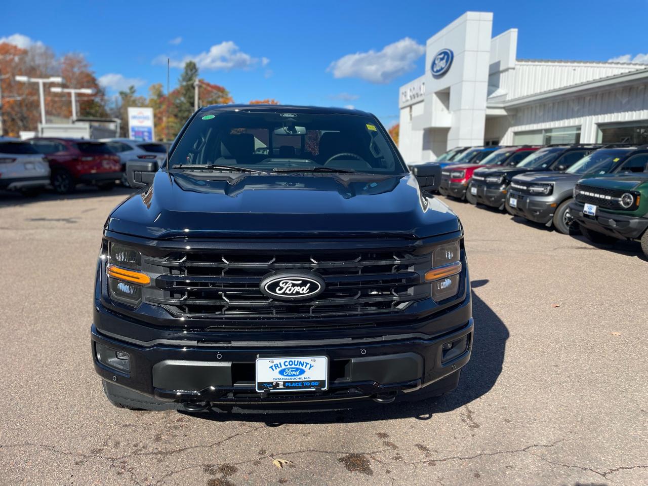 2025 Ford F-150 XLT Photo5