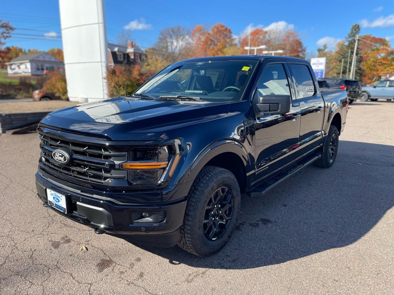 2025 Ford F-150 XLT Photo5