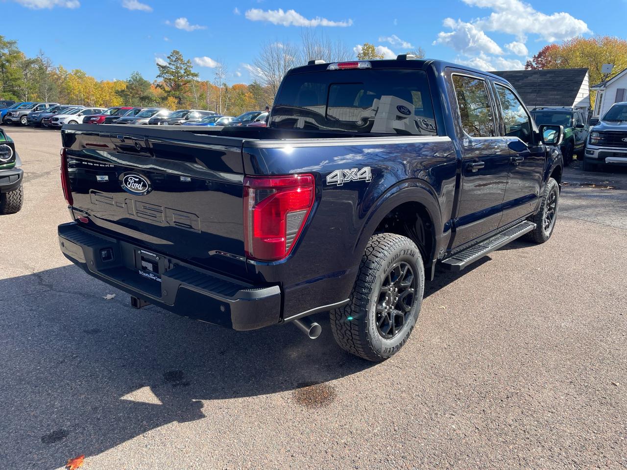 2025 Ford F-150 XLT Photo5