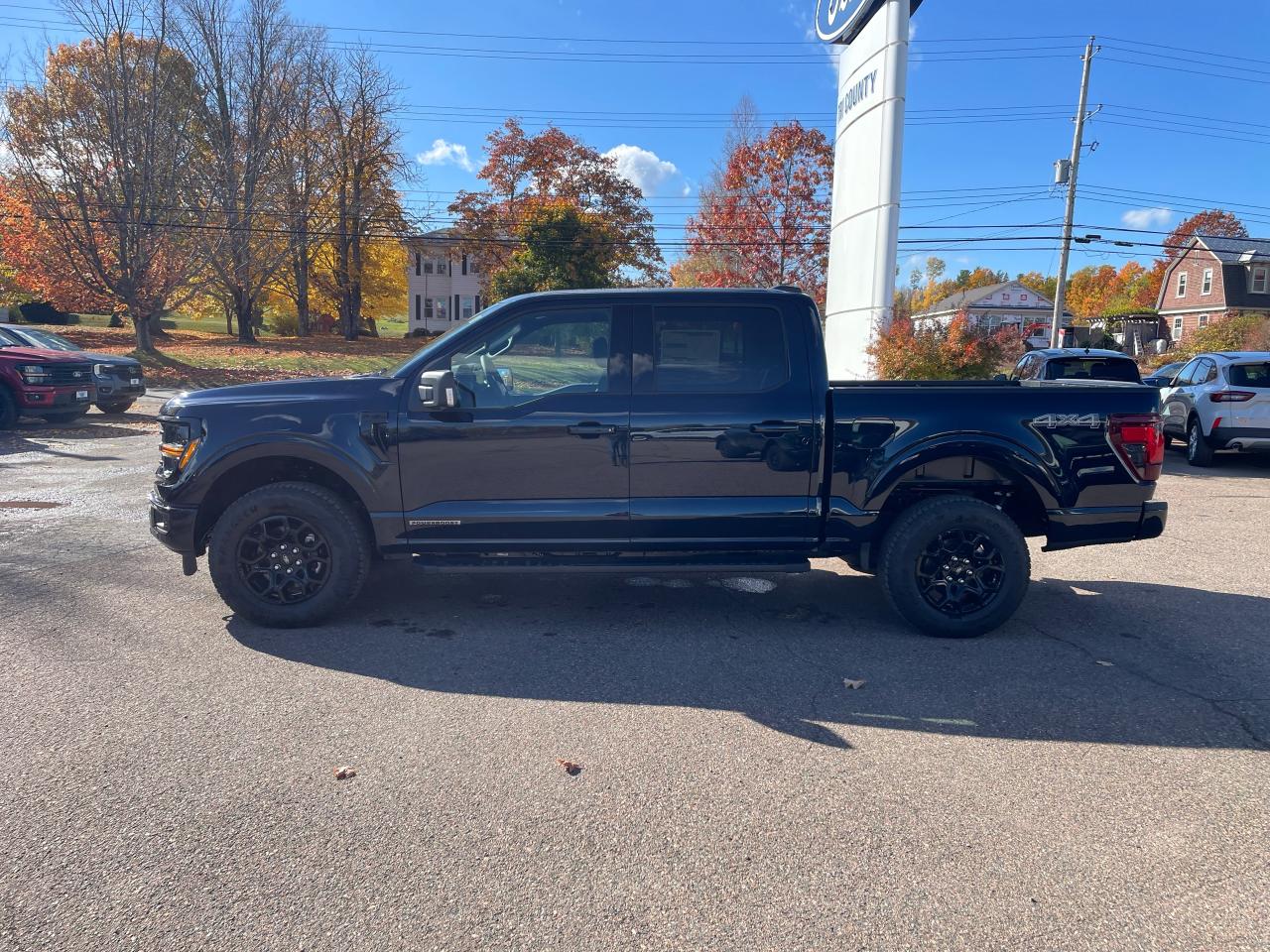 2025 Ford F-150 XLT Photo