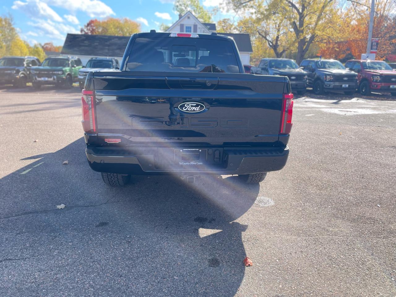 2025 Ford F-150 XLT Photo5