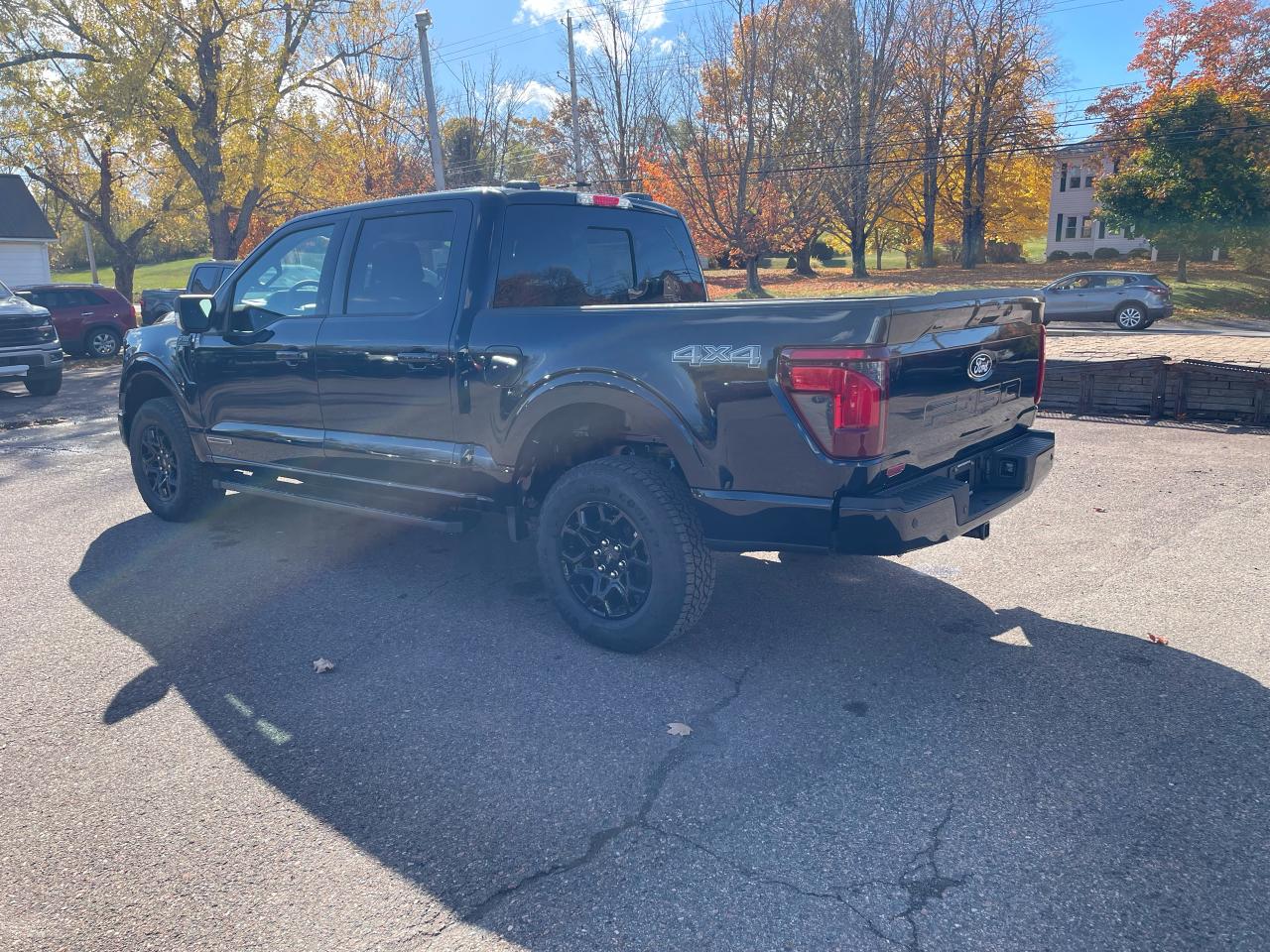 2025 Ford F-150 XLT Photo4