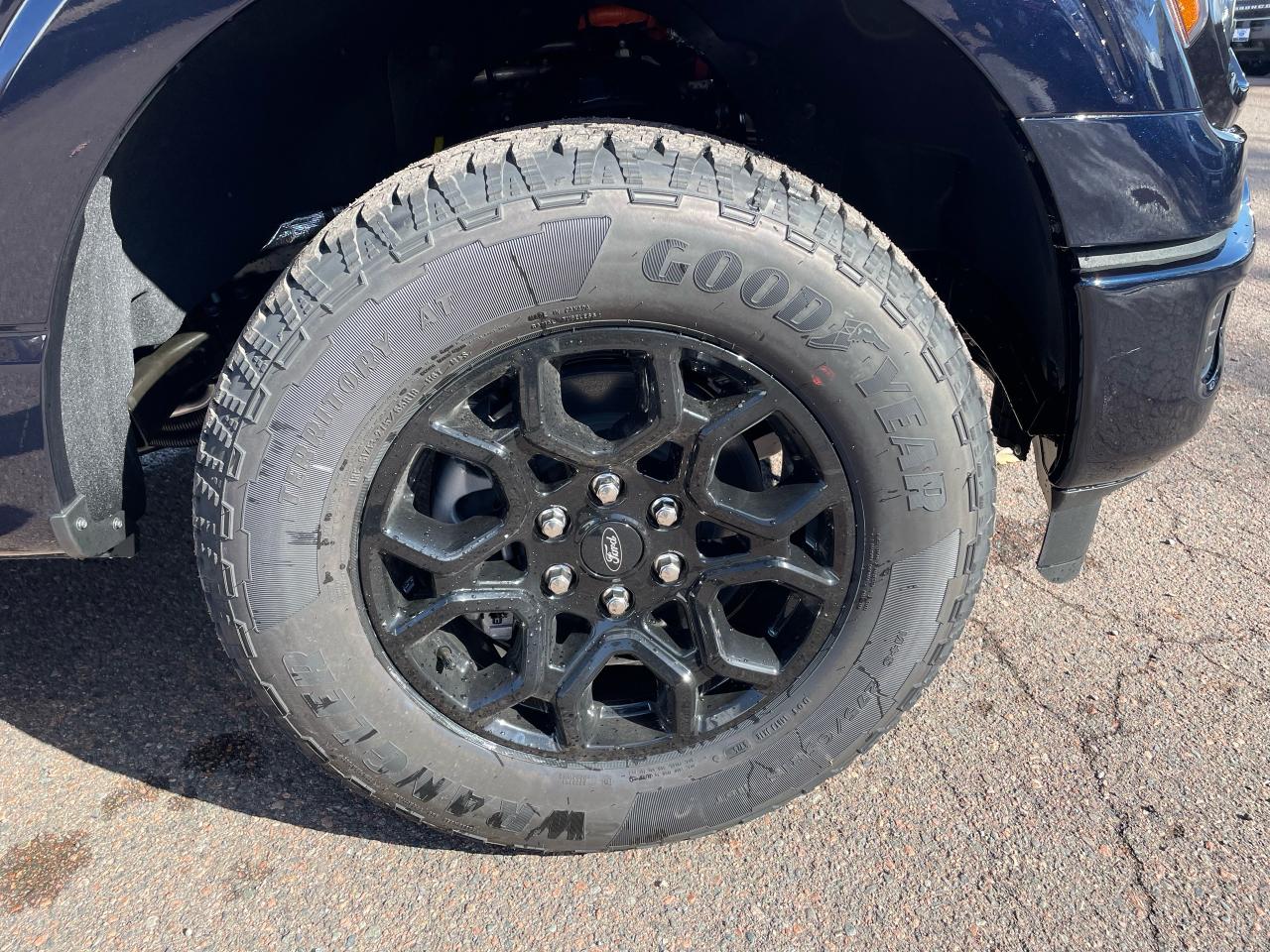 2025 Ford F-150 XLT Photo5