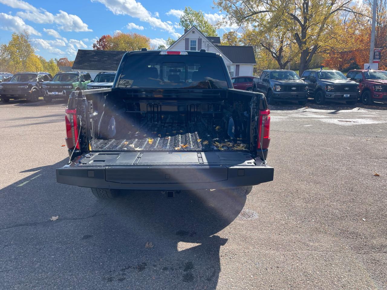 2025 Ford F-150 XLT Photo5