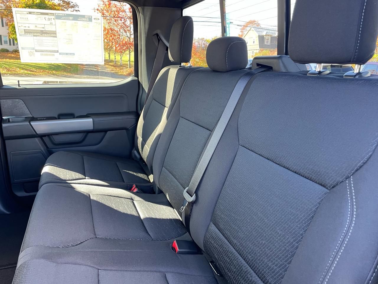 2025 Ford F-150 XLT Photo5