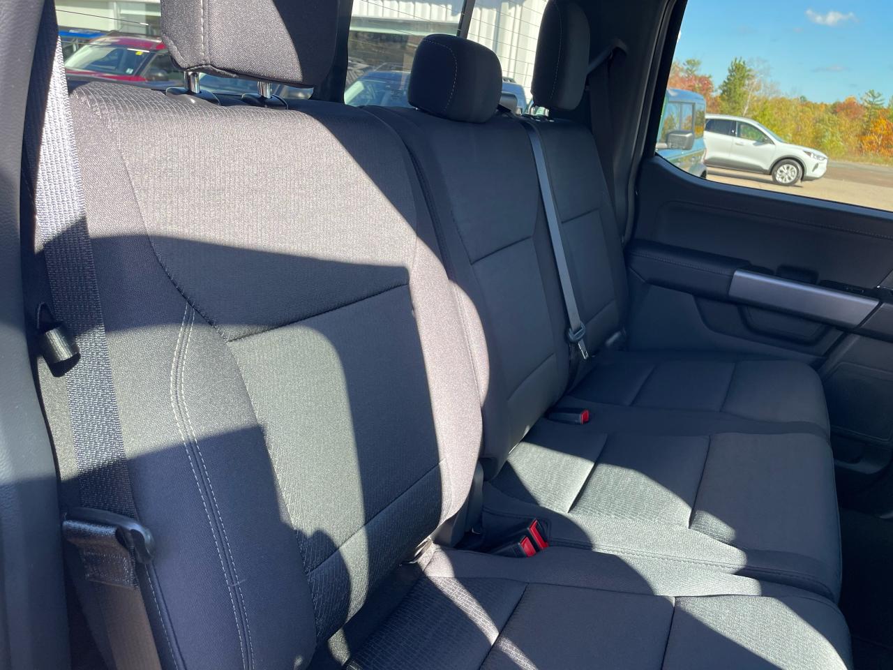 2025 Ford F-150 XLT Photo5