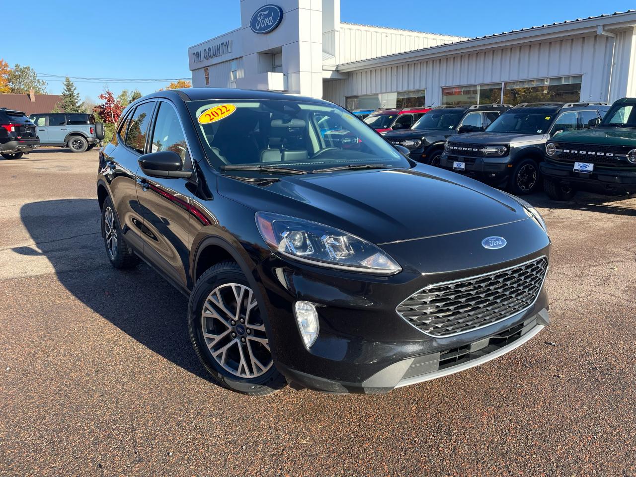 Used 2022 Ford Escape SEL for sale in Tatamagouche, NS