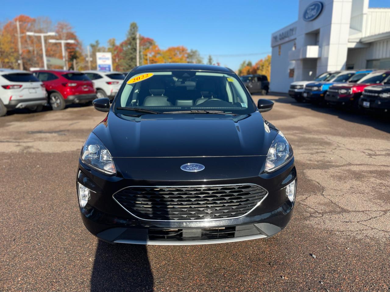 2022 Ford Escape SEL Photo5