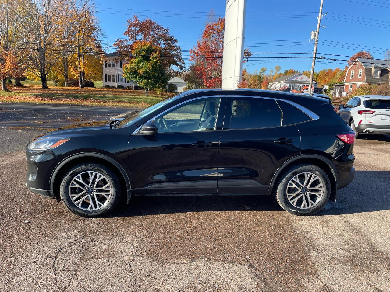 2022 Ford Escape SEL Photo