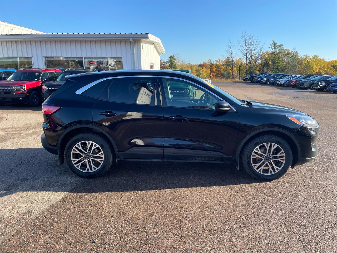 2022 Ford Escape SEL Photo5