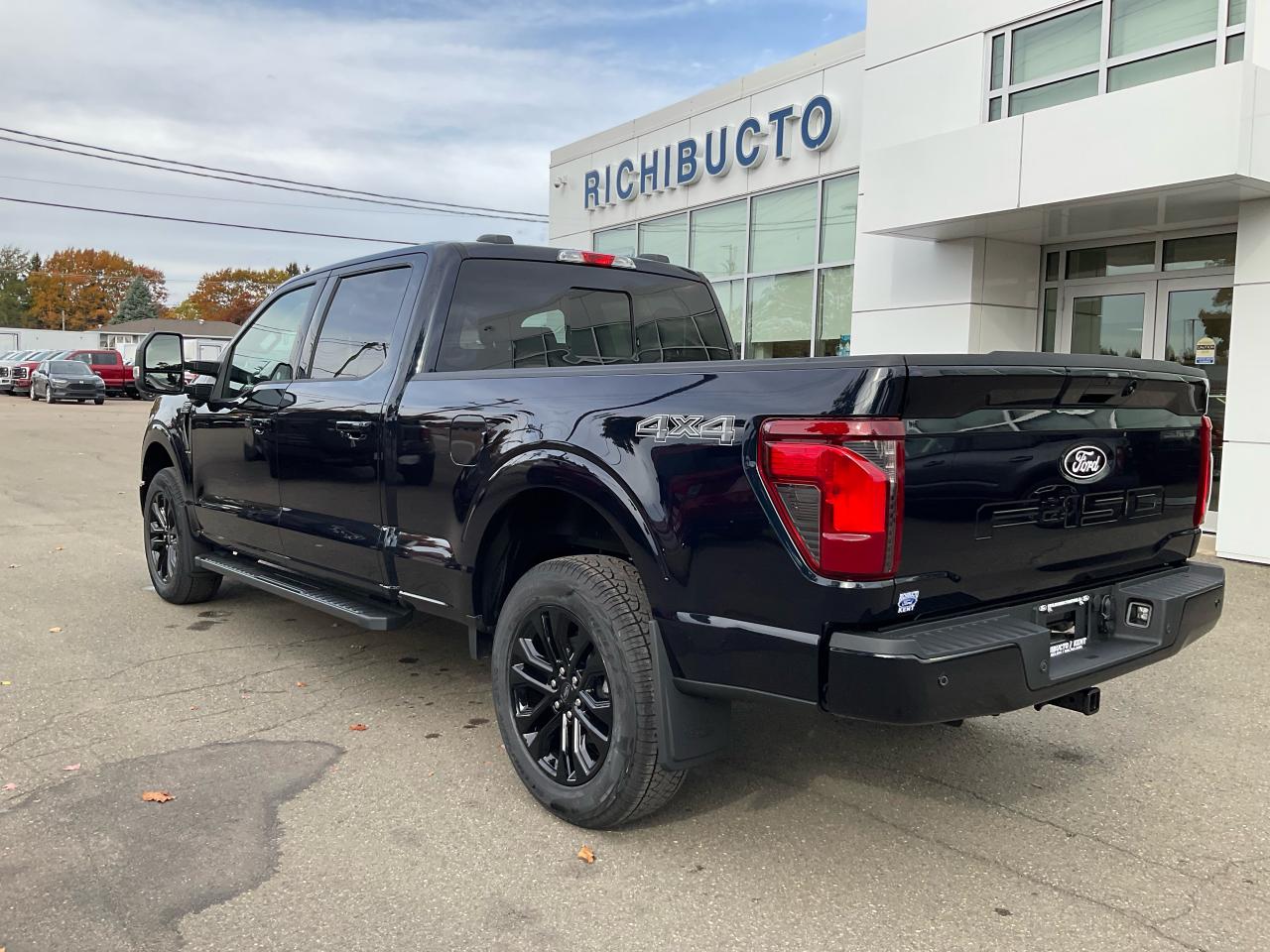 2025 Ford F-150 XLT Photo3
