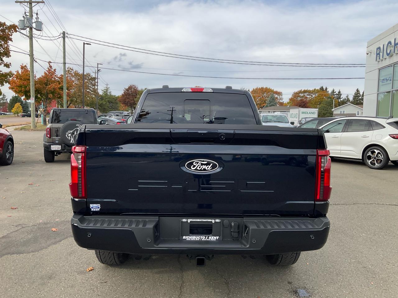 2025 Ford F-150 XLT Photo5
