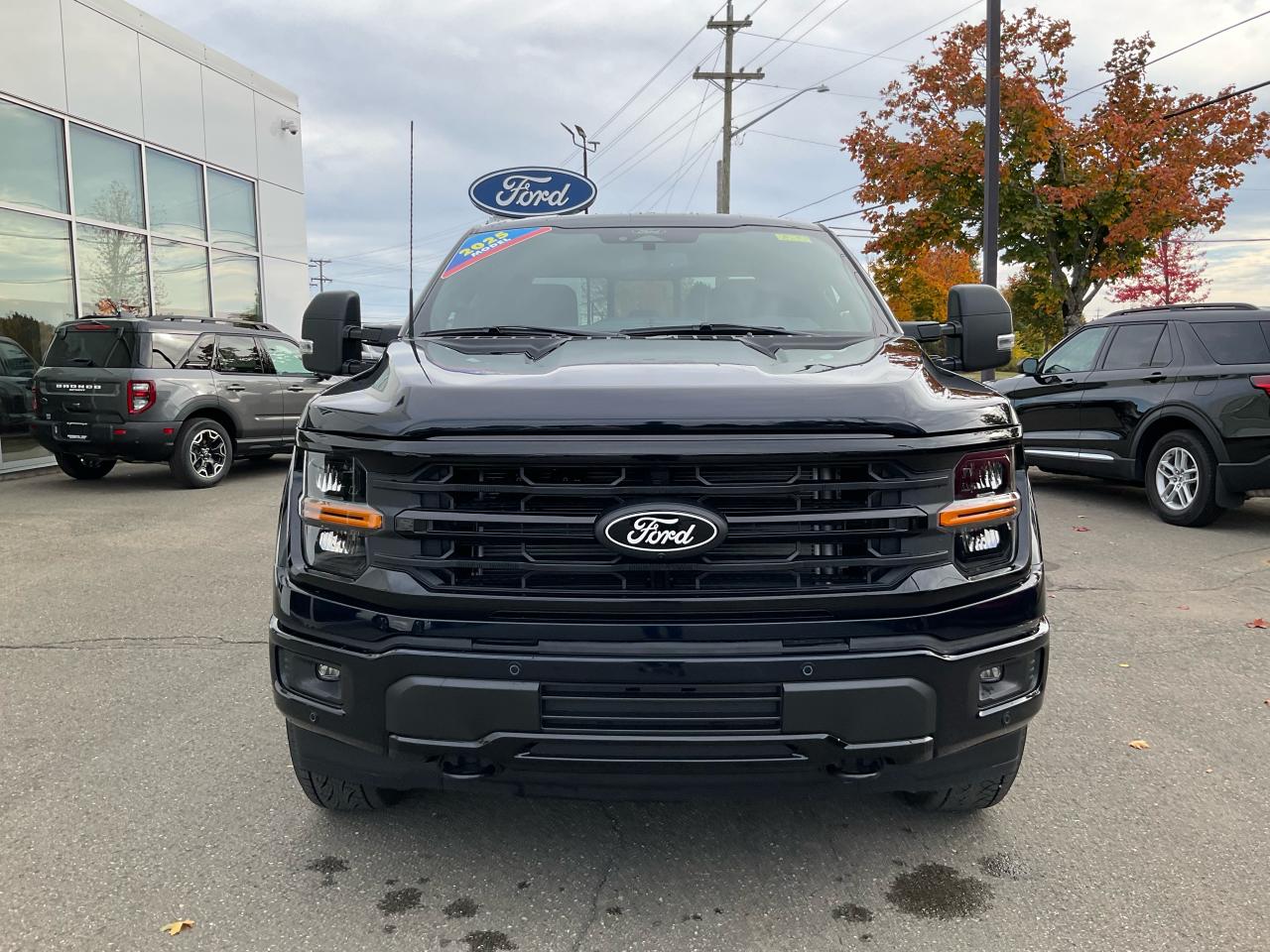 2025 Ford F-150 XLT Photo