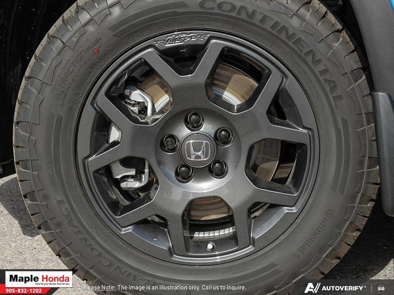 2025 Honda Pilot 4DR AWD TRAILSPORT Photo