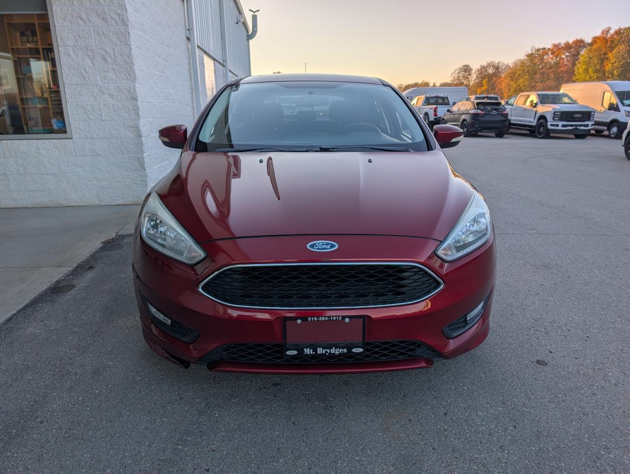 2016 Ford Focus SE Photo