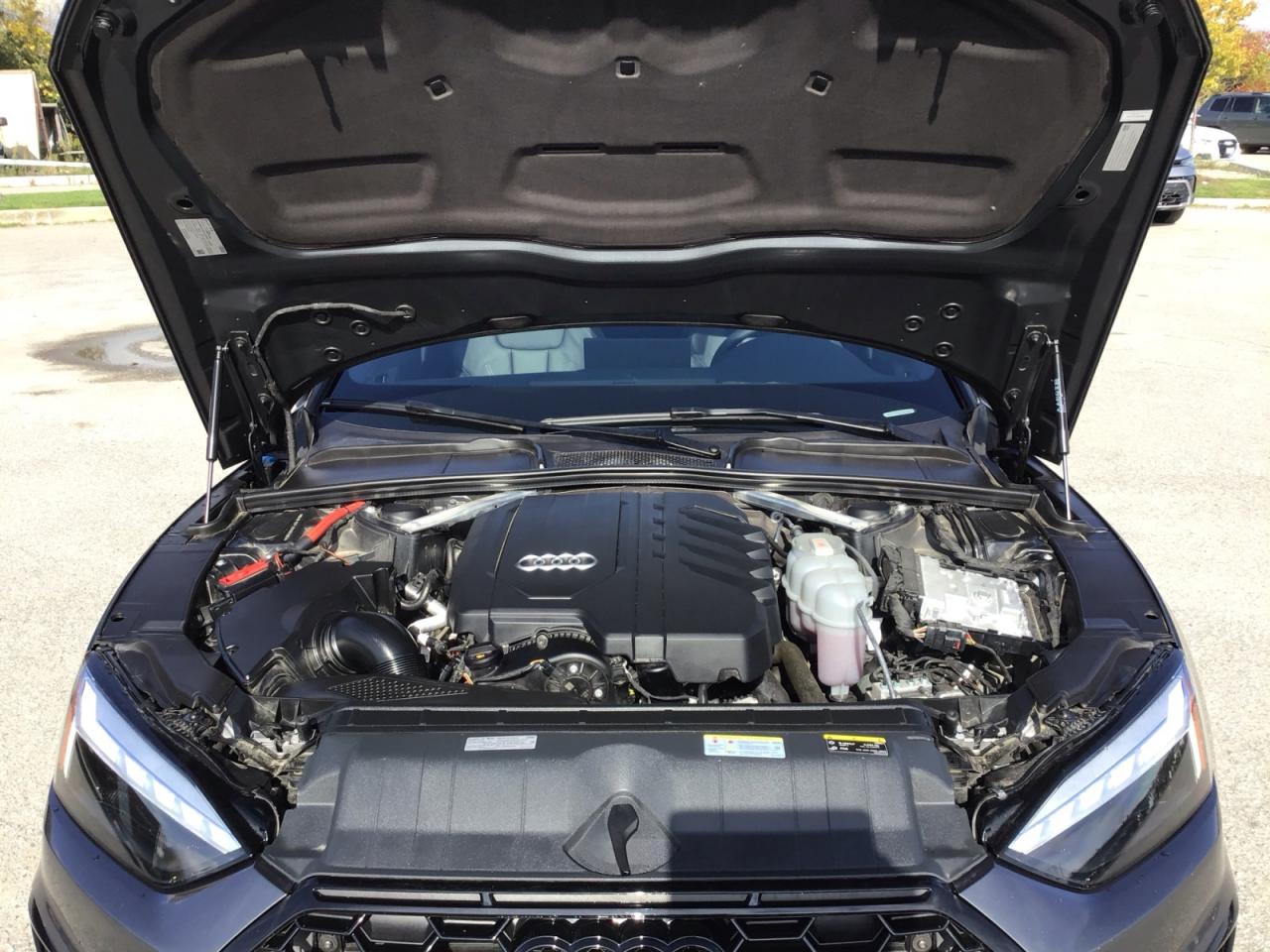 2024 Audi A5 Sportback 2.0T Progressiv + CarPlay  | CPO Photo