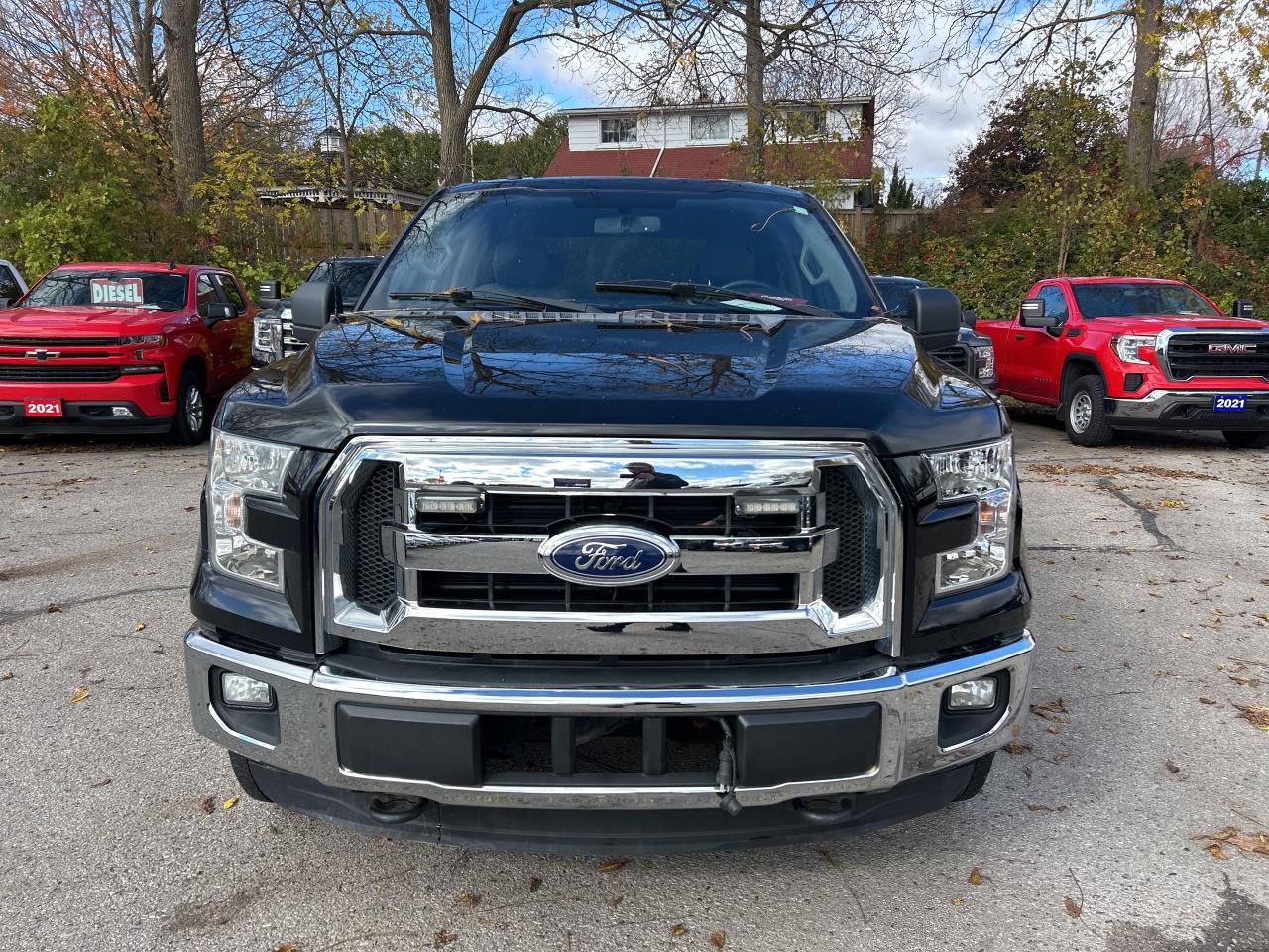 2016 Ford F-150 XLT, POWER SEAT & PEDALS, LOCAL TRADE! - Photo #3