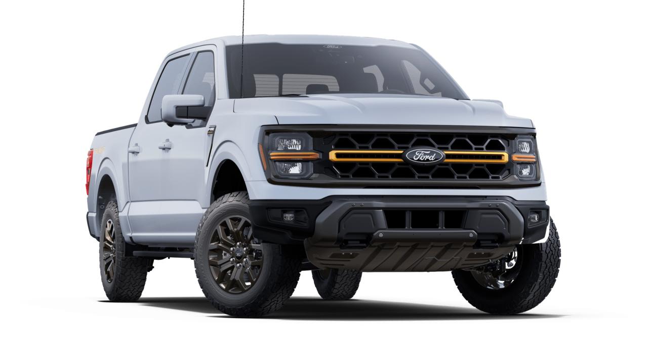 2025 Ford F-150 Tremor Photo