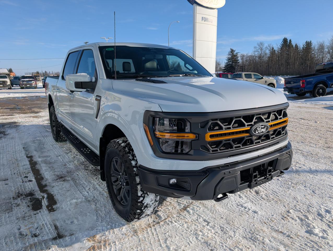 2025 Ford F-150 Tremor Photo3