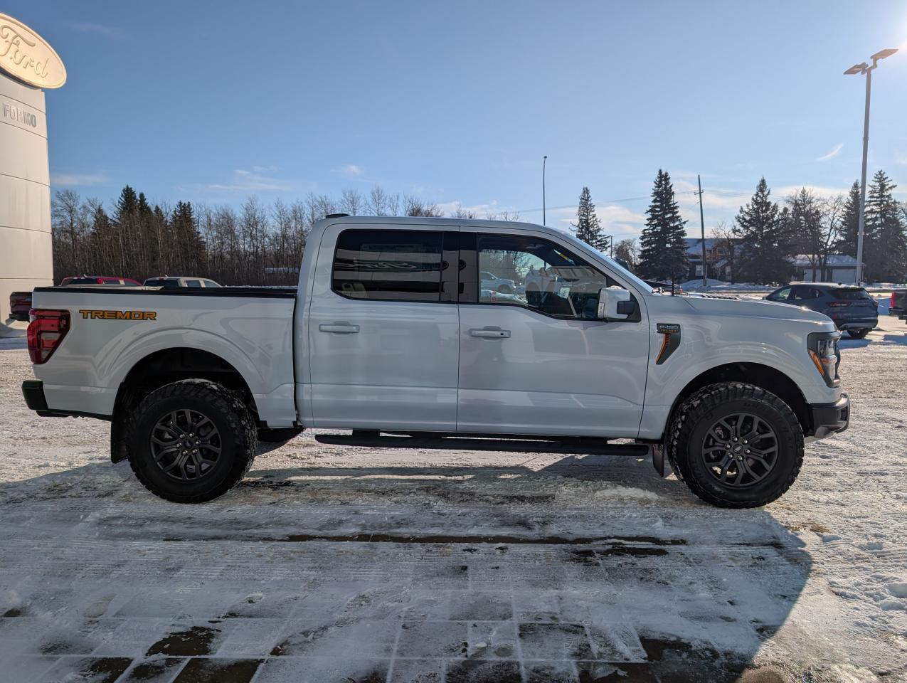 2025 Ford F-150 Tremor Photo4