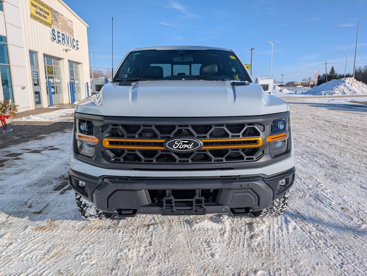 2025 Ford F-150 Tremor Photo2