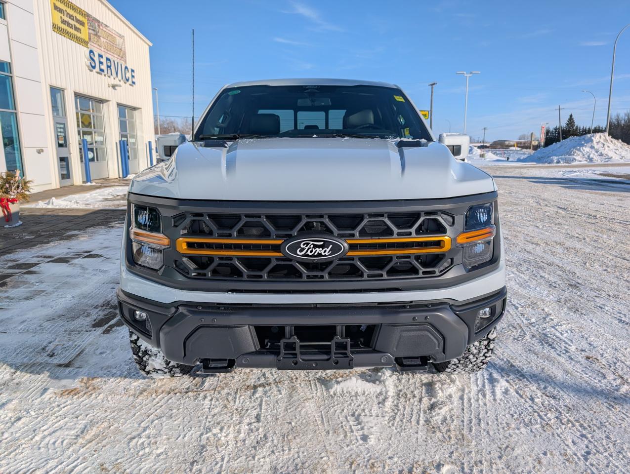 2025 Ford F-150 Tremor Photo2