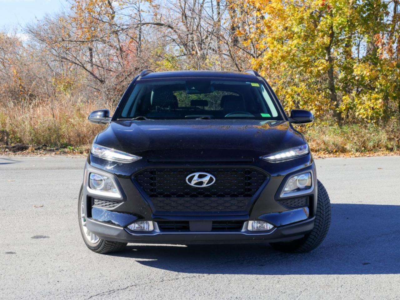 2018 Hyundai KONA 2.0L Luxury AWD  - $206 B/W Photo