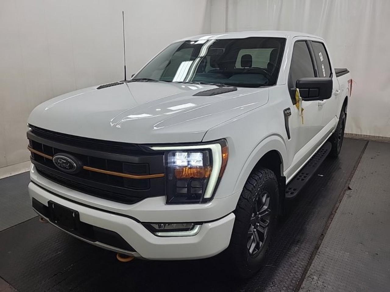 Used 2022 Ford F-150 Tremor Crew 4X4 | 401A | 3.5L EcoBoost | Tow Pkg | B&O Audio | Tailgate Step | Heated Seats & More ! for sale in Guelph, ON