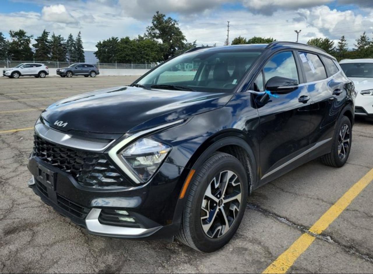Used 2024 Kia Sportage EX Premium AWD | Leather | Pano Roof | Navi | Heated Seats + Steering | Remote Start and Much More ! for sale in Guelph, ON