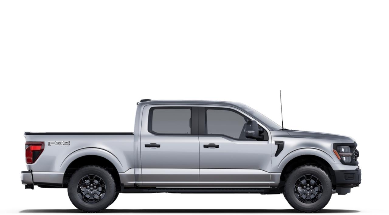 2025 Ford F-150 STX Photo
