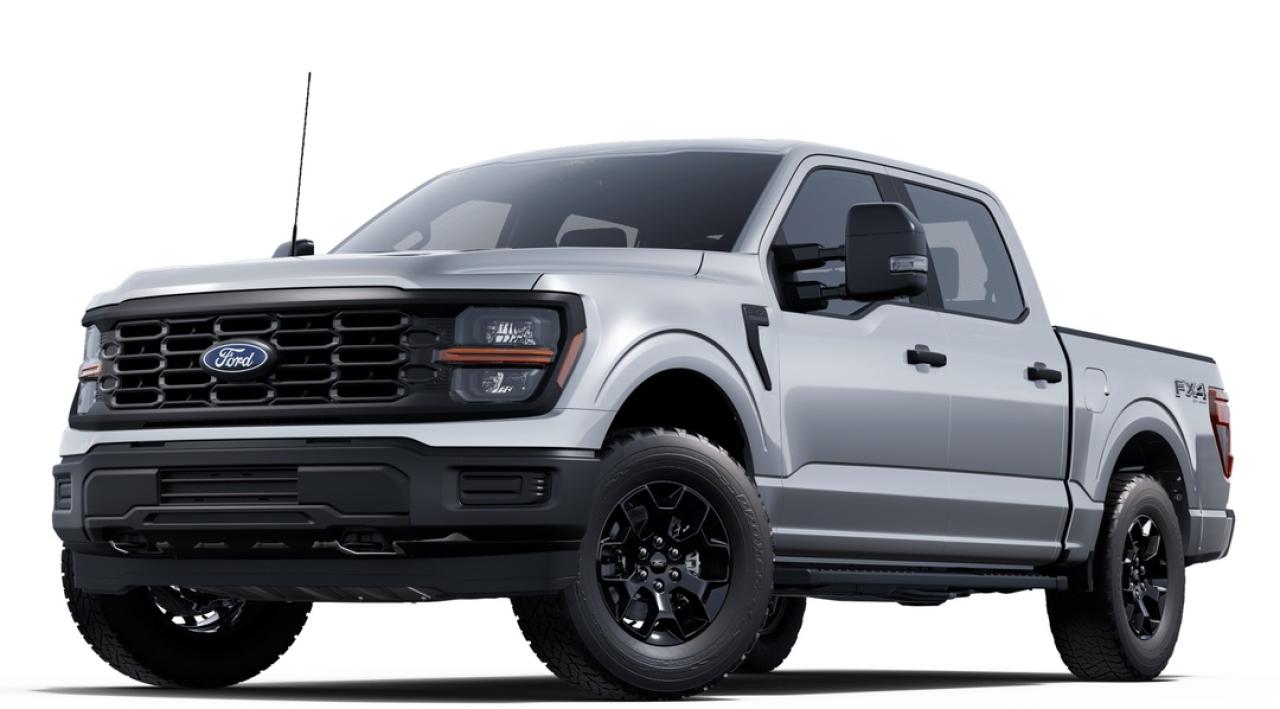 2025 Ford F-150 STX Photo0