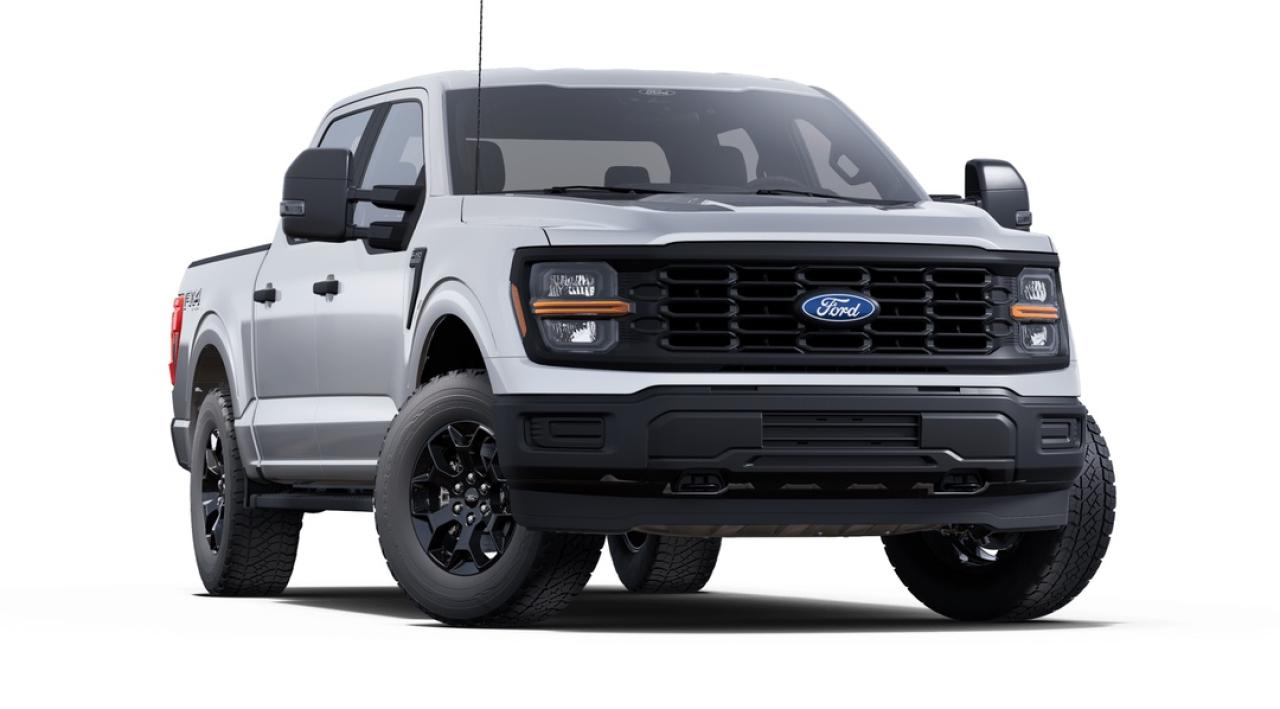 2025 Ford F-150 STX Photo