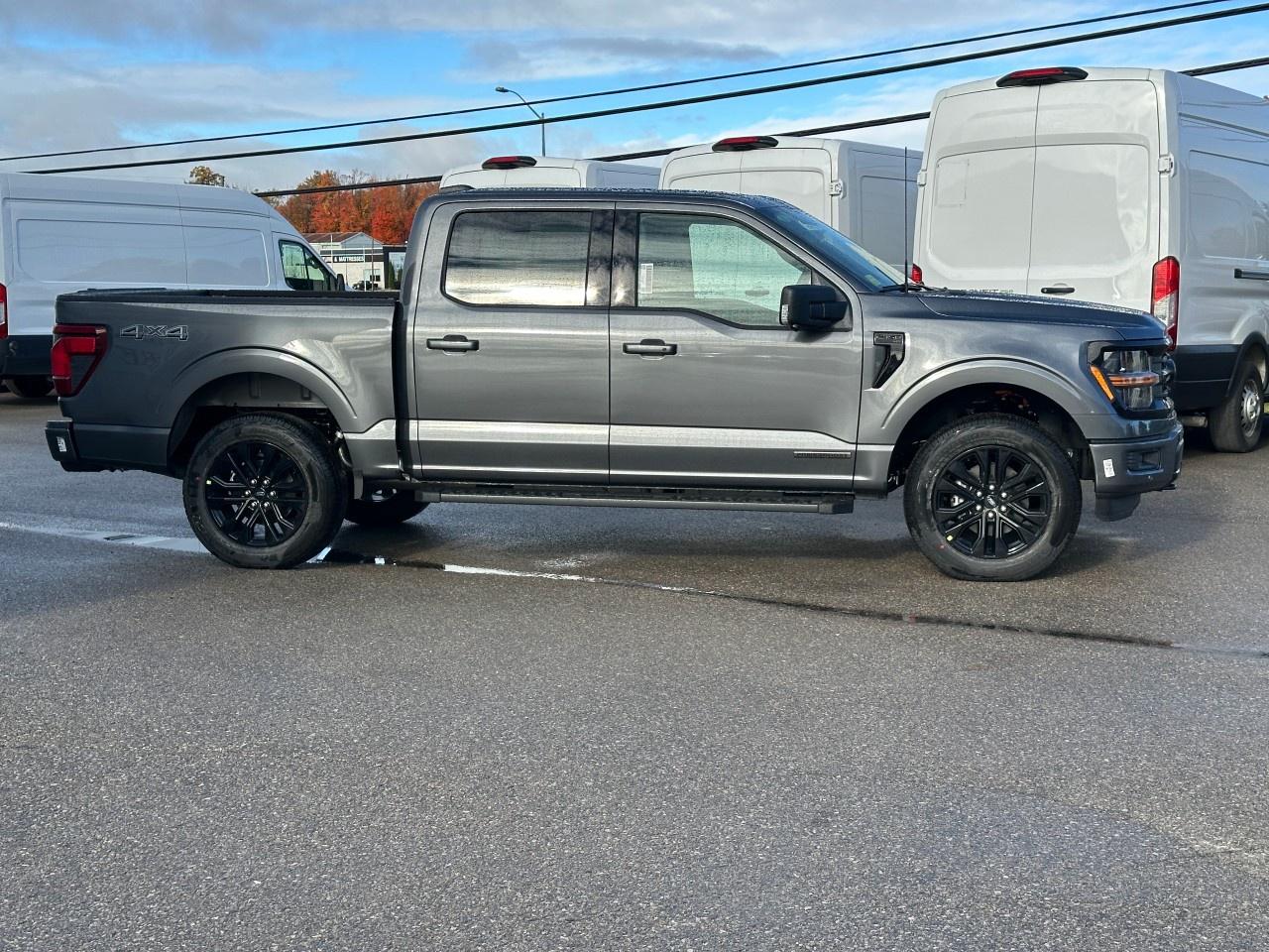 2025 Ford F-150 XLT 4WD SuperCrew 5.5' Box Photo