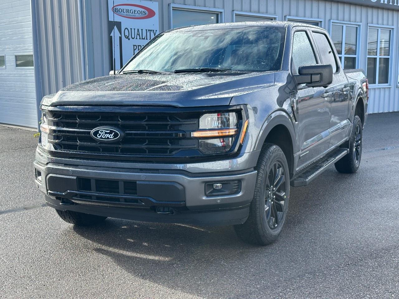 2025 Ford F-150 XLT 4WD SuperCrew 5.5' Box Photo
