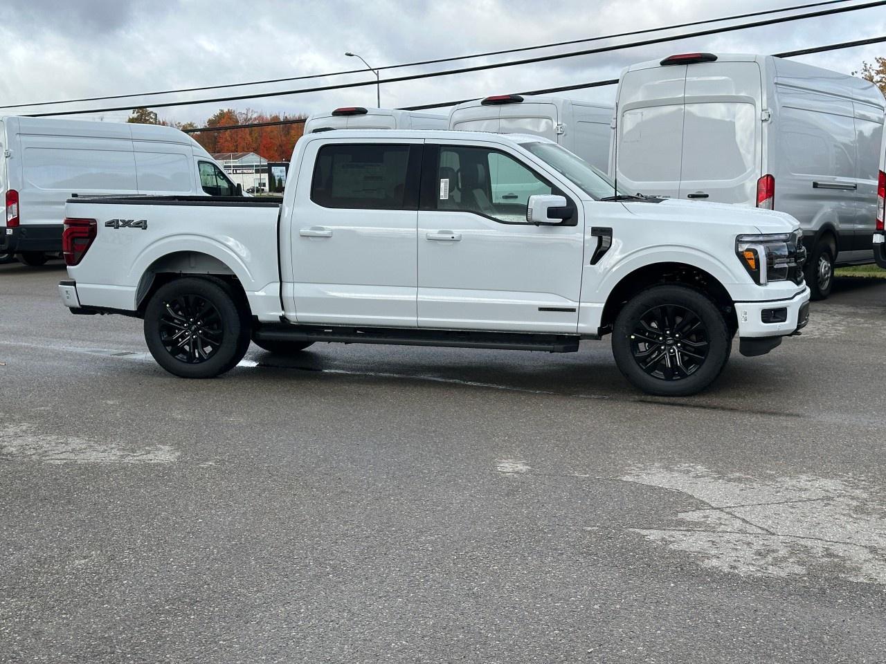2025 Ford F-150 Lariat 4WD SuperCrew 5.5' Box Photo
