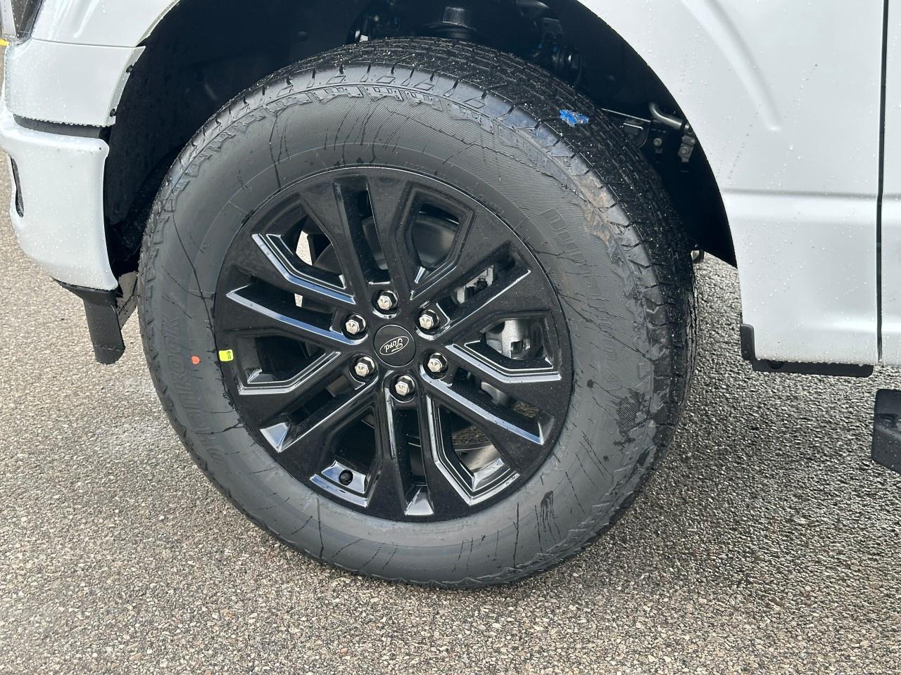 2025 Ford F-150 Lariat 4WD SuperCrew 5.5' Box Photo