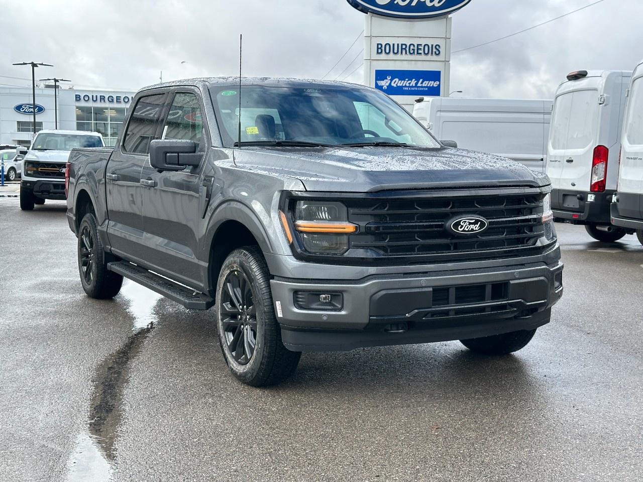 2025 Ford F-150 XLT 4WD SuperCrew 5.5' Box Photo3