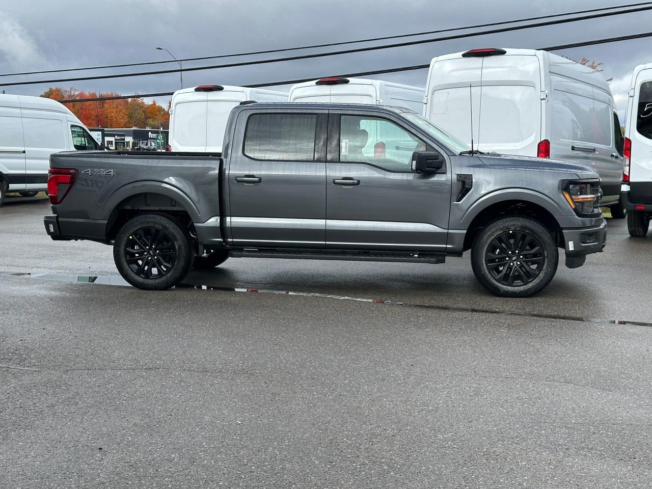 2025 Ford F-150 XLT 4WD SuperCrew 5.5' Box Photo4