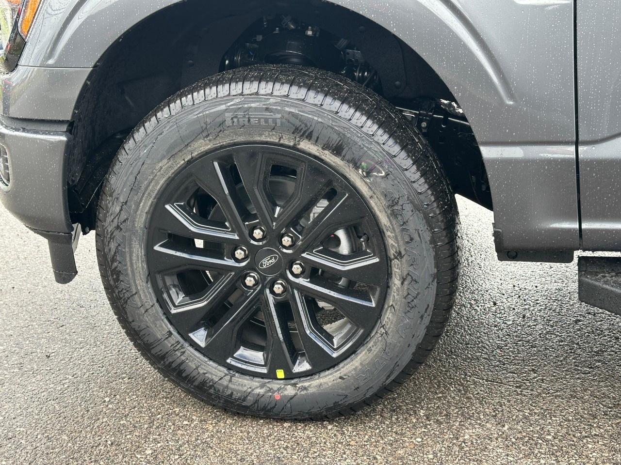 2025 Ford F-150 XLT 4WD SuperCrew 5.5' Box Photo