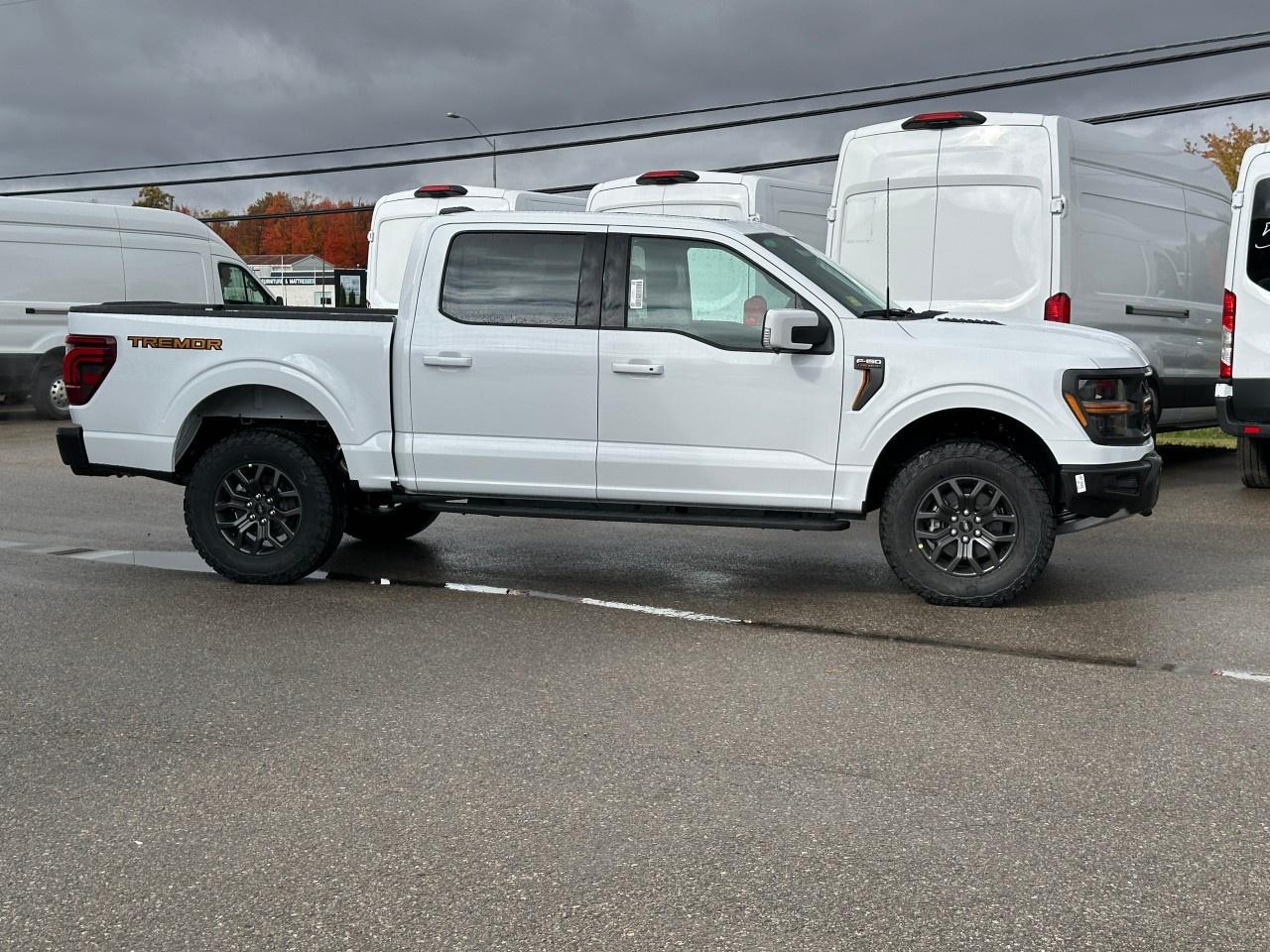 2025 Ford F-150 Tremor 4WD SuperCrew 5.5' Box Photo4