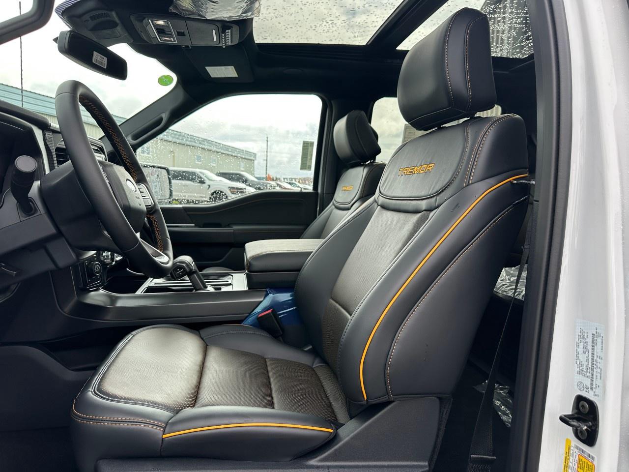 2025 Ford F-150 Tremor 4WD SuperCrew 5.5' Box Photo