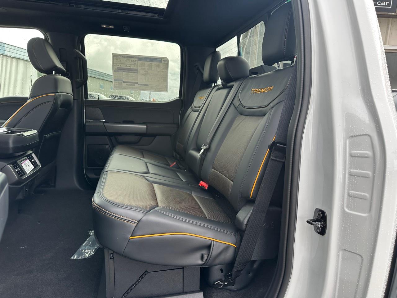 2025 Ford F-150 Tremor 4WD SuperCrew 5.5' Box Photo