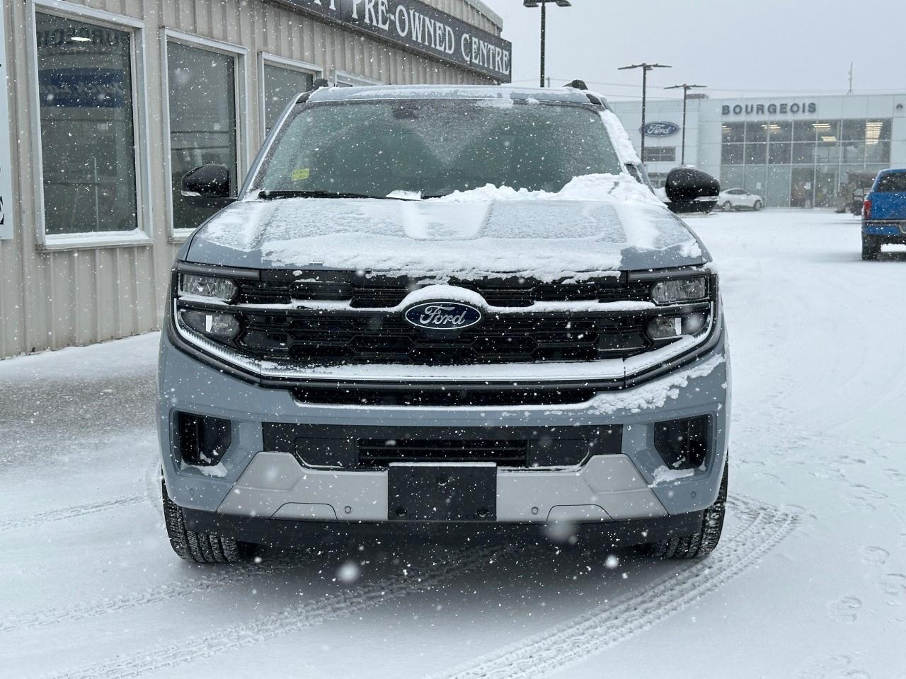 2025 Ford Expedition Platinum 4x4 Photo2