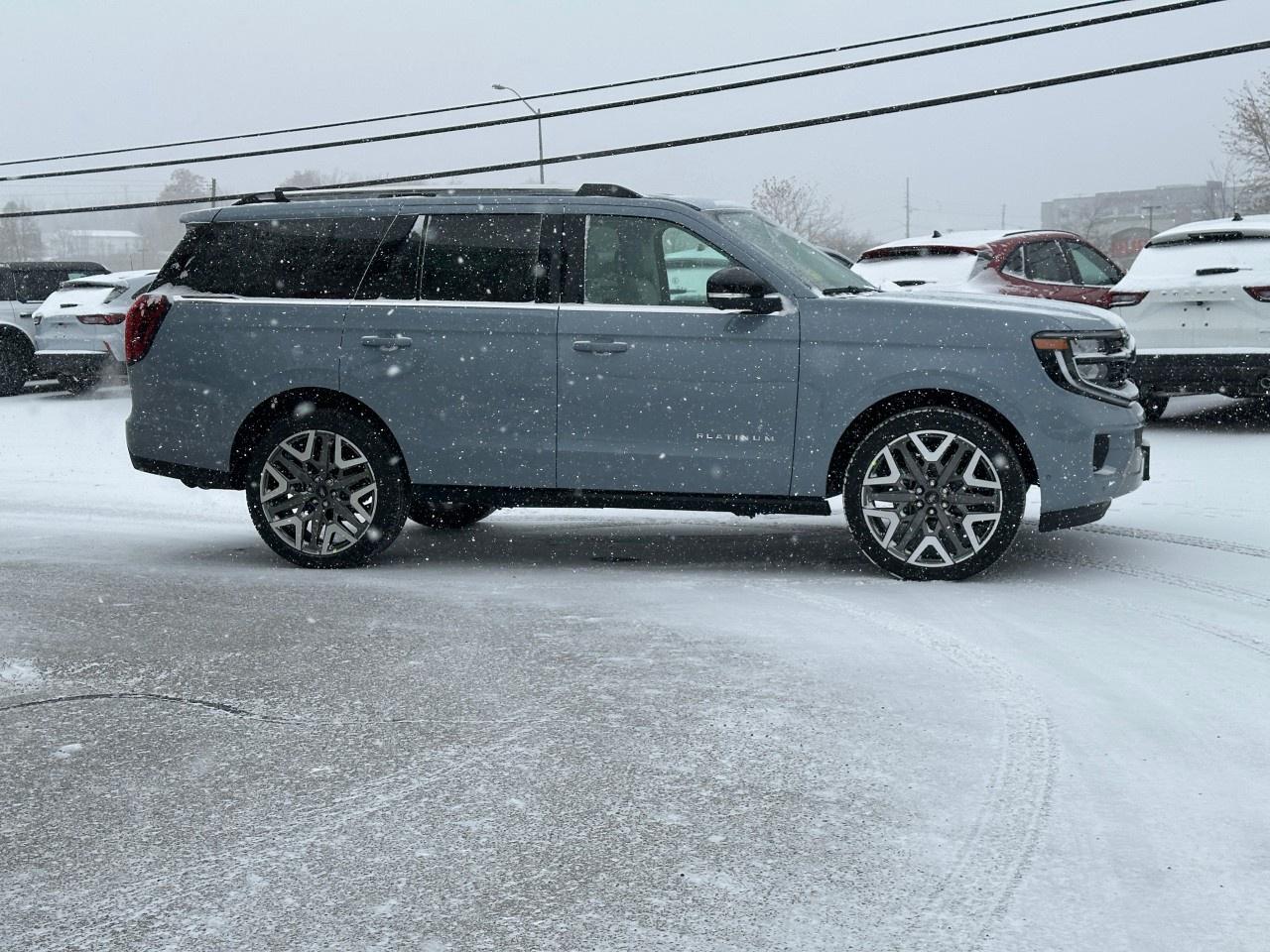 2025 Ford Expedition Platinum 4x4 Photo