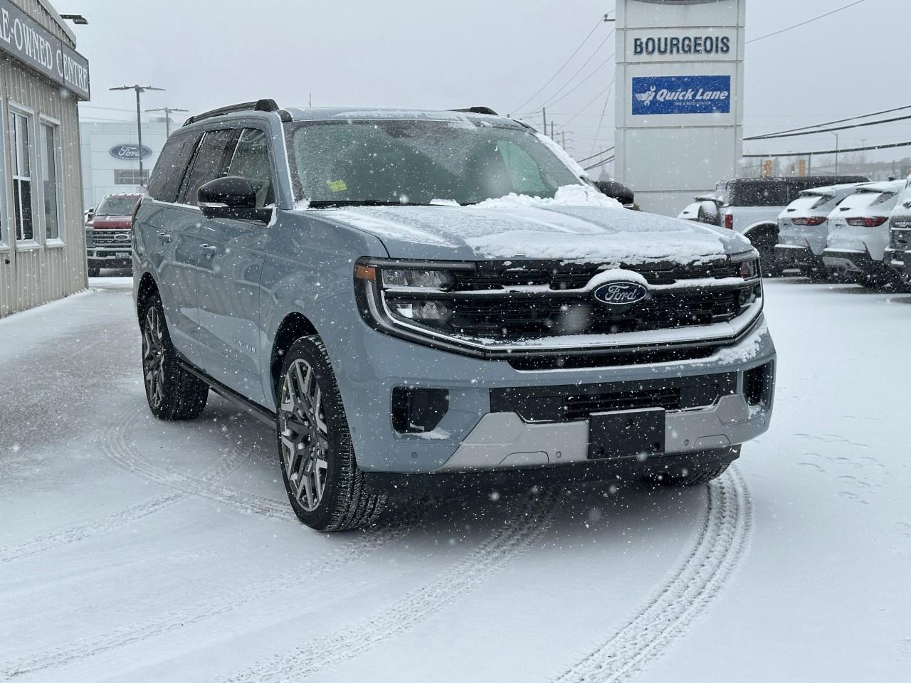 2025 Ford Expedition Platinum 4x4 Photo3