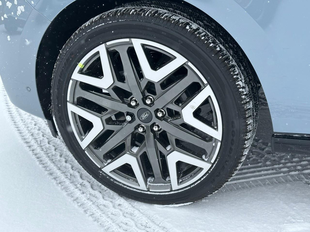 2025 Ford Expedition Platinum 4x4 Photo