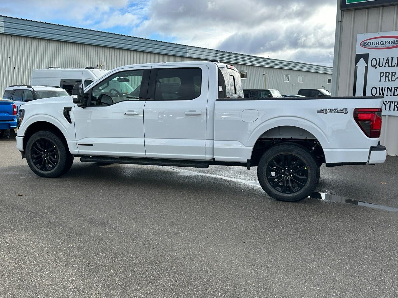 2025 Ford F-150 XLT 4WD SuperCrew 6.5' Box Photo