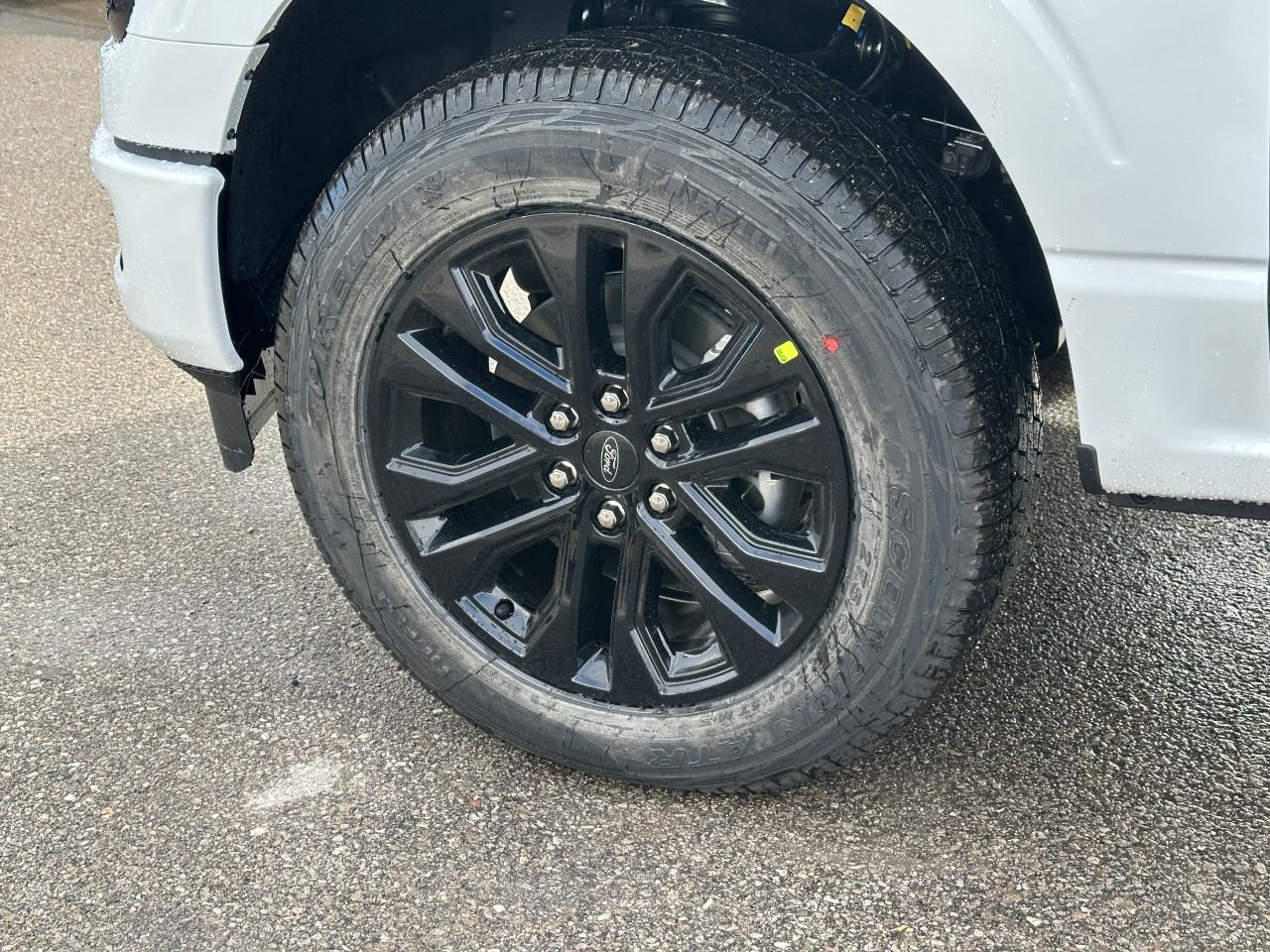 2025 Ford F-150 XLT 4WD SuperCrew 6.5' Box Photo