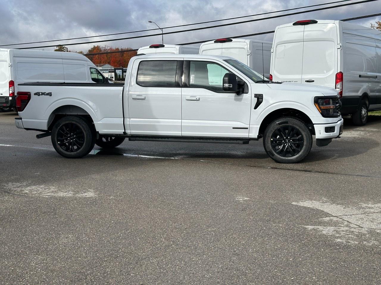 2025 Ford F-150 XLT 4WD SuperCrew 6.5' Box Photo